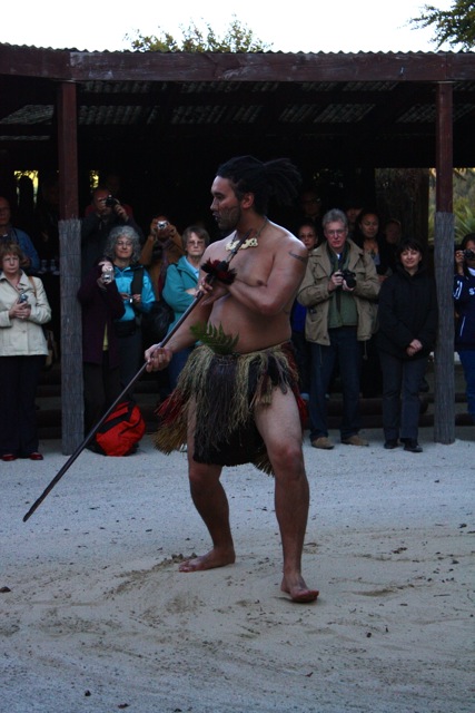 maori 1